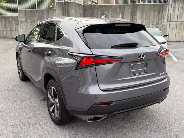 2019 Lexus NX 300 Base Premium AWD